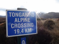 Wellington Tongariro 1